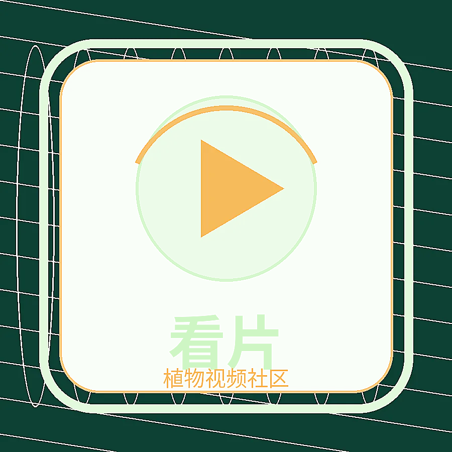 看片